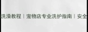5步在家给狗狗洗澡教程宠物店专业洗护指南安全不哭闹全攻略