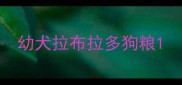 幼犬拉布拉多狗粮