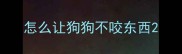 怎么让狗狗不咬东西