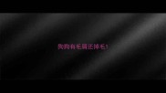 狗狗有毛屑还掉毛