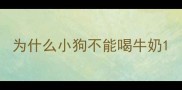为什么小狗不能喝牛奶