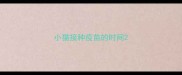 小猫接种疫苗的时间