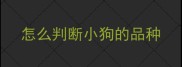 怎么判断小狗的品种