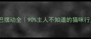猫咪尾巴摆动全90主人不知道的猫咪行为密码