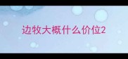 边牧大概什么价位