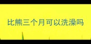 比熊三个月可以洗澡吗