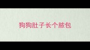 狗狗肚子长个脓包