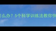 边牧犬难以亲近怎么办5个科学训练法教你快速建立深厚感情