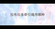 拉布拉多牵引绳用哪种