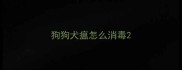 狗狗犬瘟怎么消毒