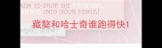 藏獒和哈士奇谁跑得快