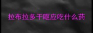 拉布拉多干呕应吃什么药