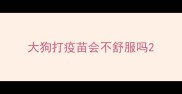 大狗打疫苗会不舒服吗