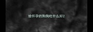 给怀孕的狗狗吃什么好