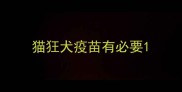 猫狂犬疫苗有必要