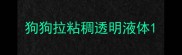 狗狗拉粘稠透明液体