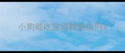 小狗能吃宝塔糖驱虫吗