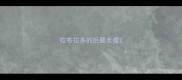 拉布拉多的后腿长瘦