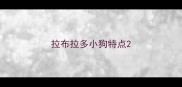 拉布拉多小狗特点