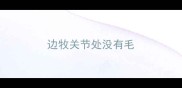 边牧关节处没有毛