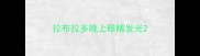拉布拉多晚上眼睛发光