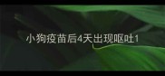 小狗疫苗后4天出现呕吐