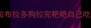 拉布拉多狗拉完粑粑自己吃
