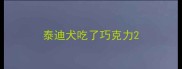 泰迪犬吃了巧克力