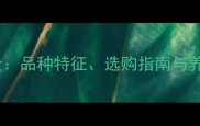纯种哈士奇幼犬蓝眼睛全品种特征选购指南与养护秘籍附高清图解