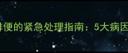 狗狗呕吐黄水不排便的紧急处理指南5大病因与家庭护理方案