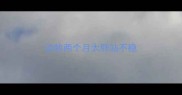 边牧两个月太胖站不稳