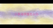 小泰迪很瘦怎么办