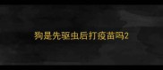 狗是先驱虫后打疫苗吗