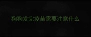 狗狗发完疫苗需要注意什么