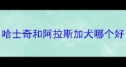 哈士奇和阿拉斯加犬哪个好