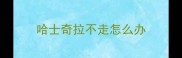 哈士奇拉不走怎么办