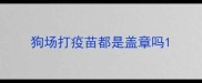 狗场打疫苗都是盖章吗
