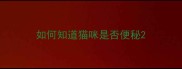 如何知道猫咪是否便秘