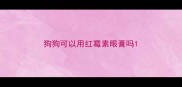 狗狗可以用红霉素眼膏吗