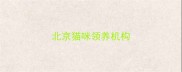 北京猫咪领养机构