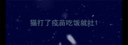 猫打了疫苗吃饭就吐