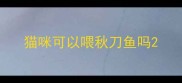 猫咪可以喂秋刀鱼吗