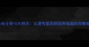 棕色哈士奇10大特点从遗传基因到饲养指南的完整指南