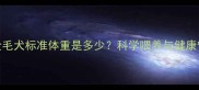 五个月大金毛犬标准体重是多少科学喂养与健康管理全指南