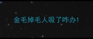 金毛掉毛人吸了咋办