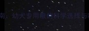 宠物喂养指南幼犬专用粮的科学选择与喂养全攻略