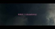 狗狗吃三文鱼油的好处