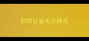 如何让金毛少掉毛