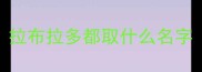 拉布拉多都取什么名字