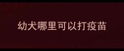 幼犬哪里可以打疫苗